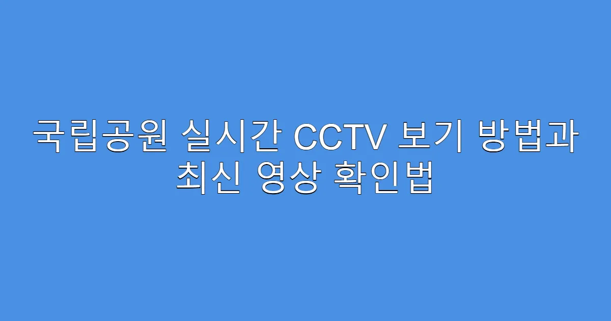 국립공원 실시간 CCTV 보기 방법과 최신 영상 확인법