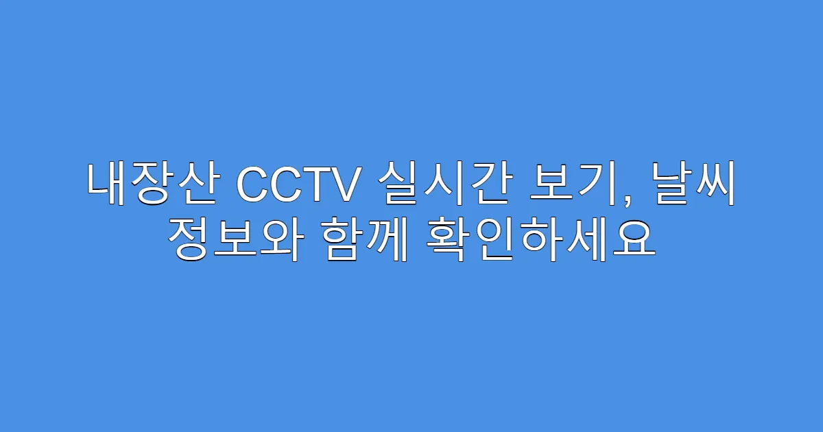 내장산 CCTV 실시간 보기, 날씨 정보와 함께 확인하세요