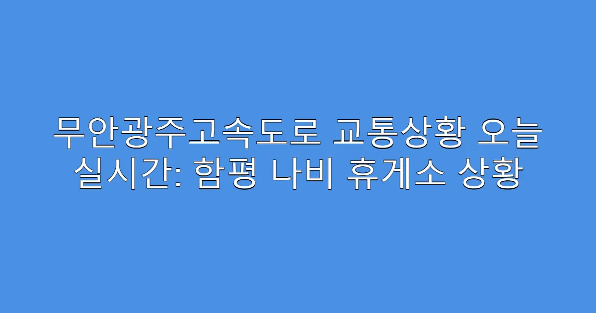 무안광주고속도로 교통상황 오늘 실시간: 함평 나비 휴게소 상황