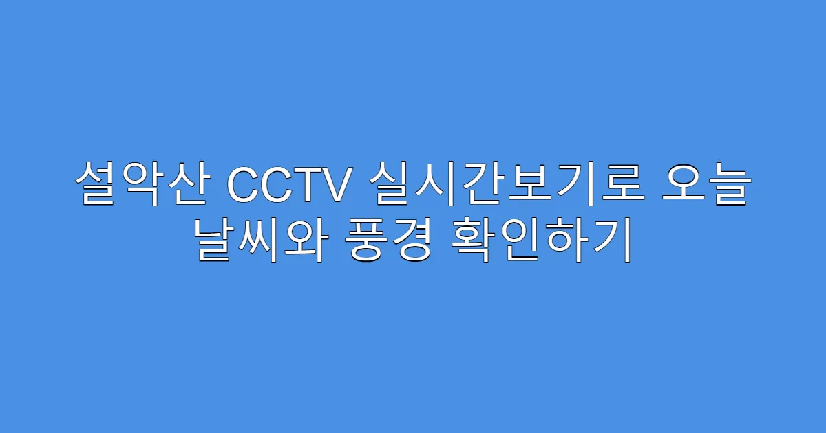 설악산 CCTV 실시간보기로 오늘 날씨와 풍경 확인하기