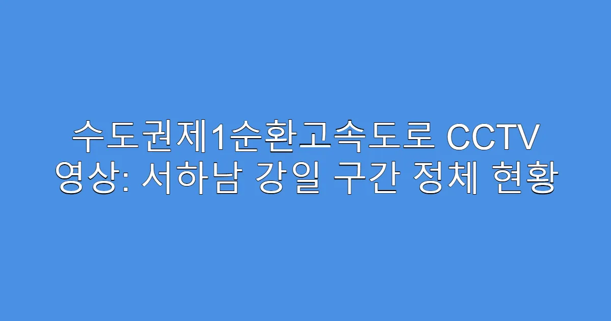 수도권제1순환고속도로 CCTV 영상: 서하남 강일 구간 정체 현황