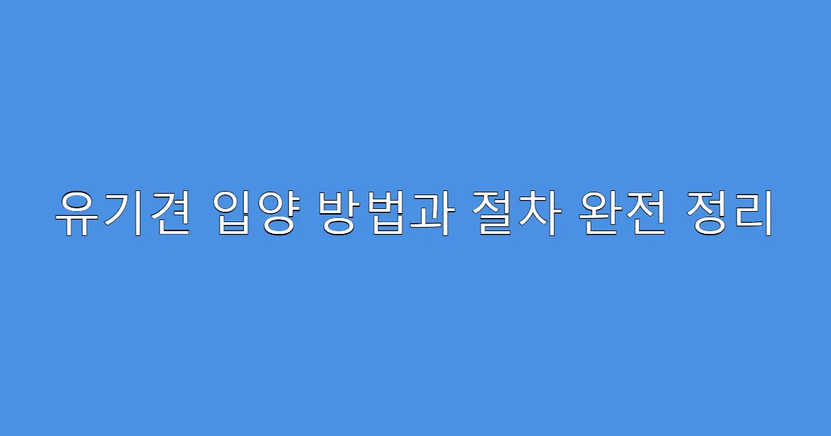 유기견 입양 방법과 절차 완전 정리