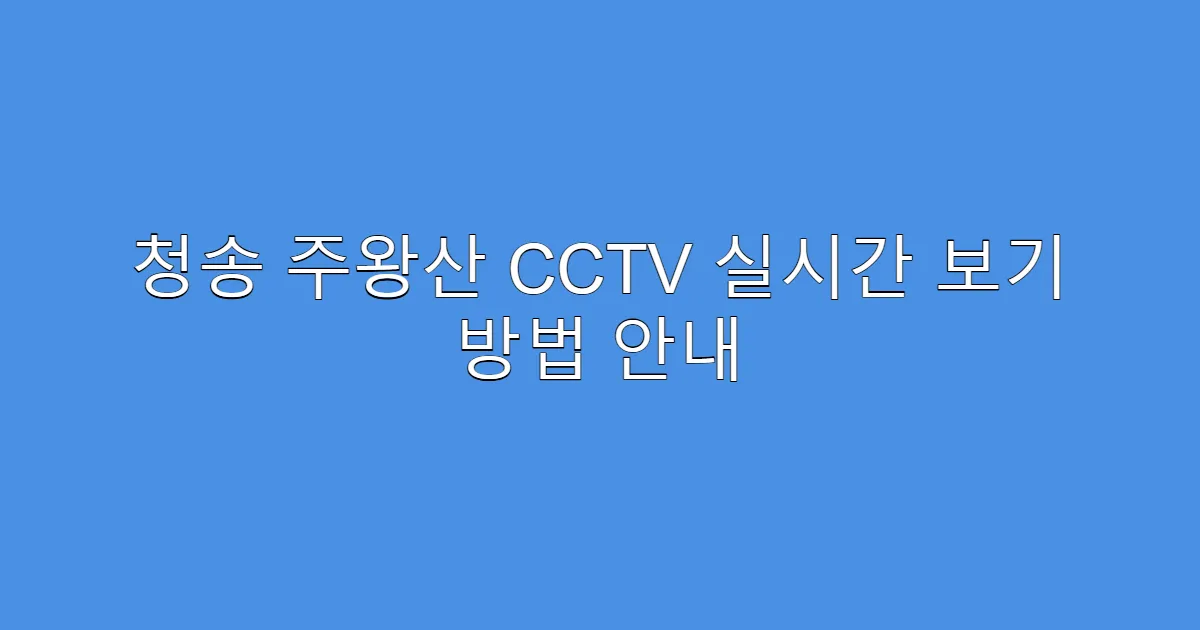 청송 주왕산 CCTV 실시간 보기 방법 안내