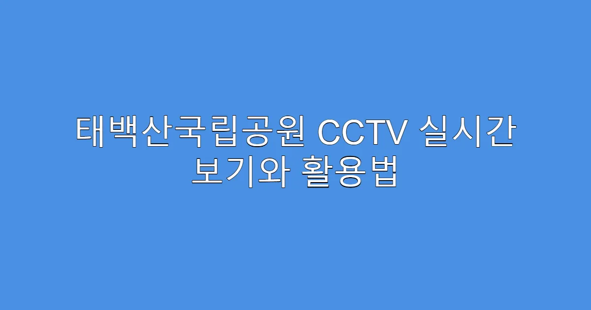 태백산국립공원 CCTV 실시간 보기와 활용법
