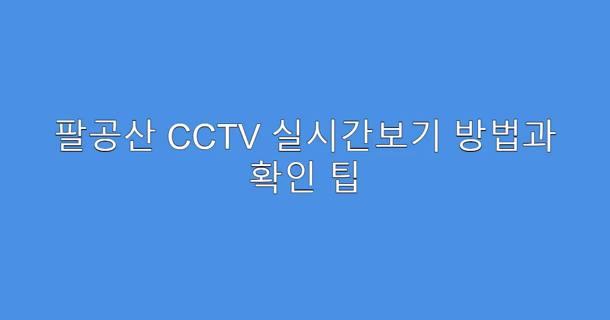 팔공산 CCTV 실시간보기 방법과 확인 팁