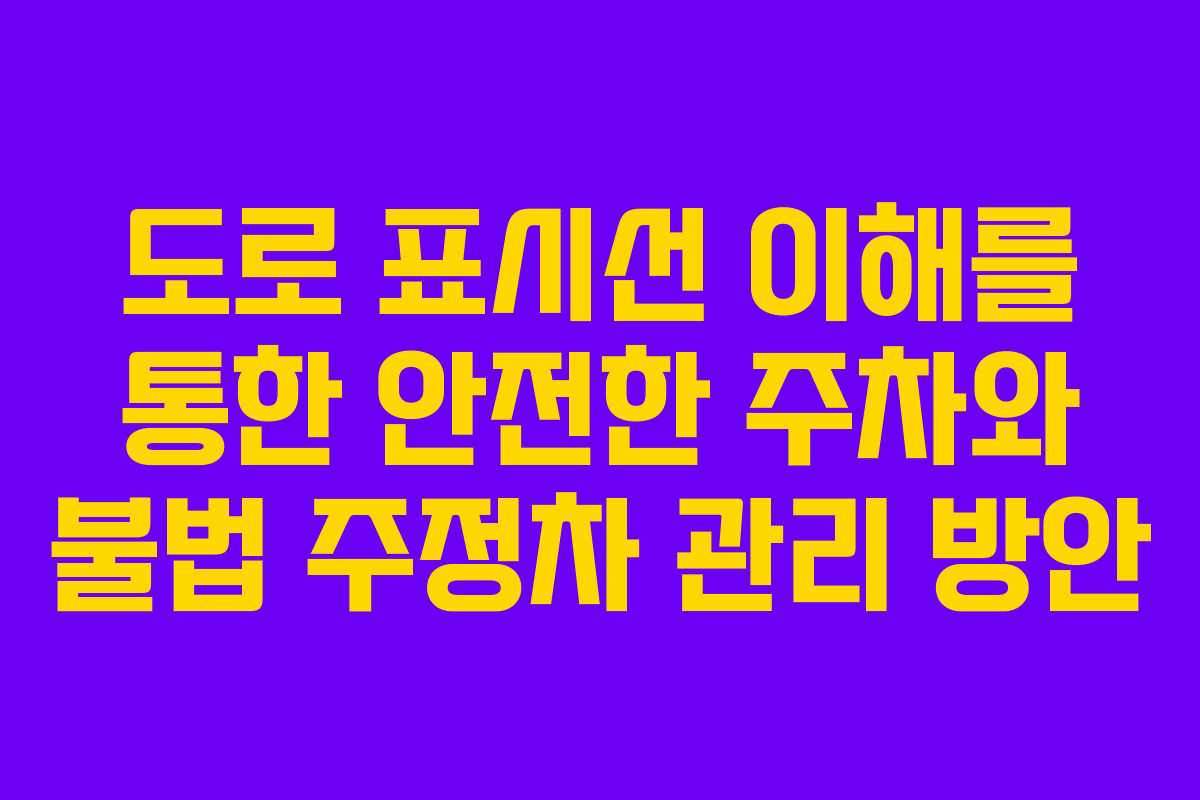도로 표시선 이해를 통한 안전한 주차와 불법 주정차 관리 방안