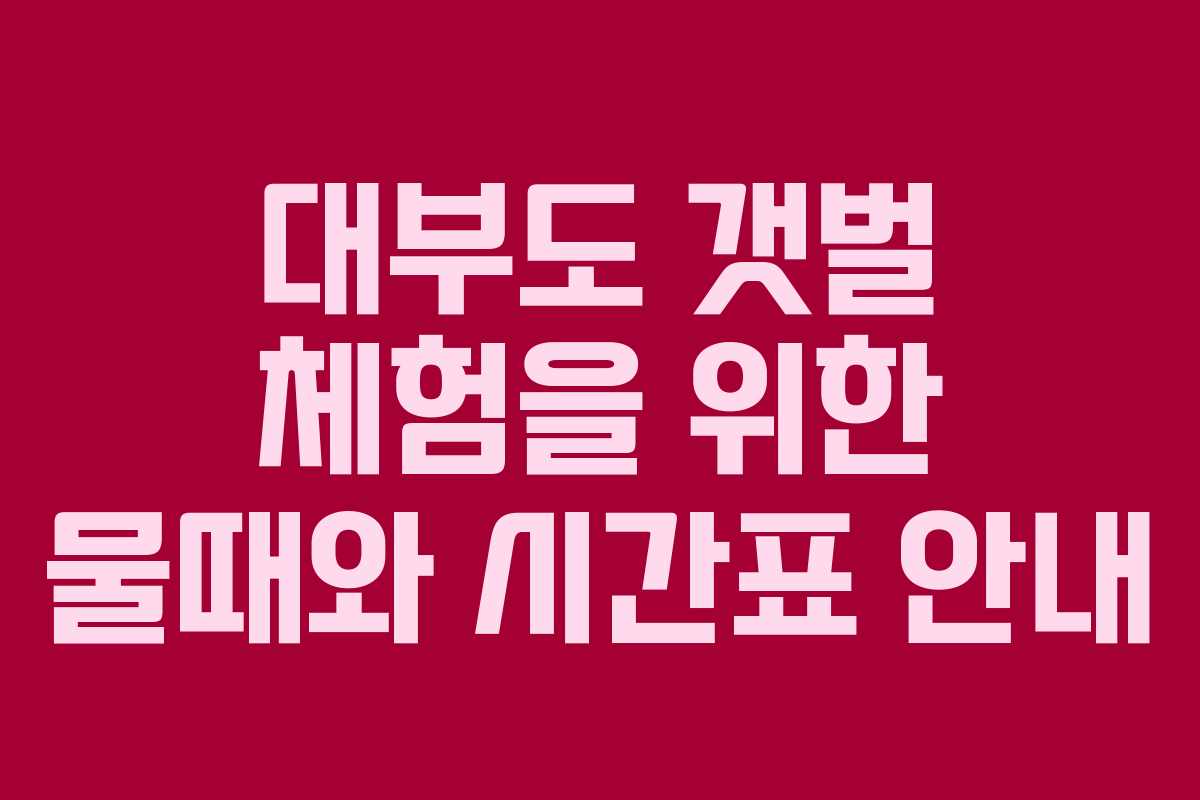 대부도 갯벌 체험을 위한 물때와 시간표 안내