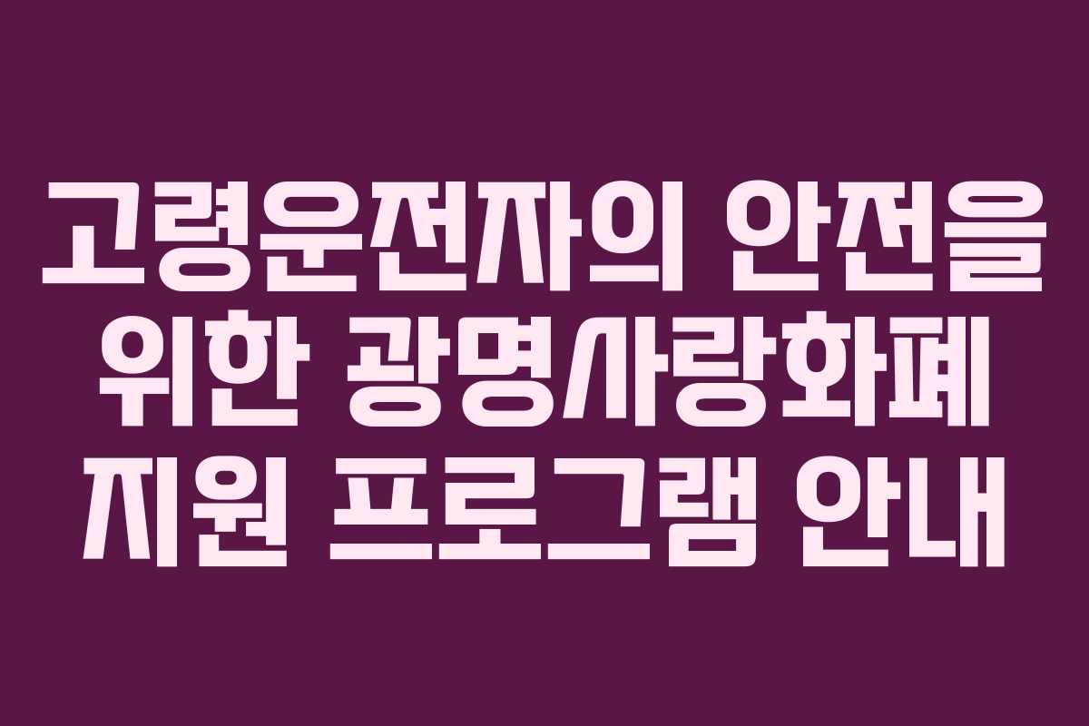 고령운전자의 안전을 위한 광명사랑화폐 지원 프로그램 안내