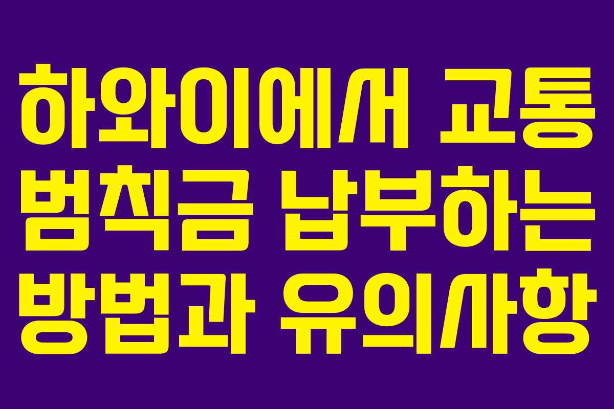 하와이에서 교통 범칙금 납부하는 방법과 유의사항