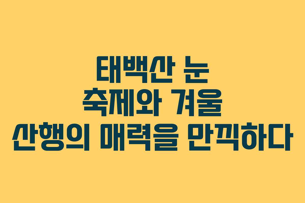 태백산 눈 축제와 겨울 산행의 매력을 만끽하다