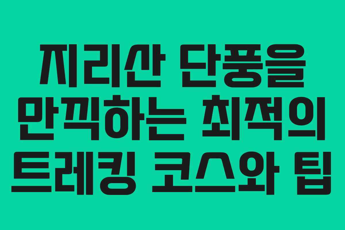 지리산 단풍을 만끽하는 최적의 트레킹 코스와 팁