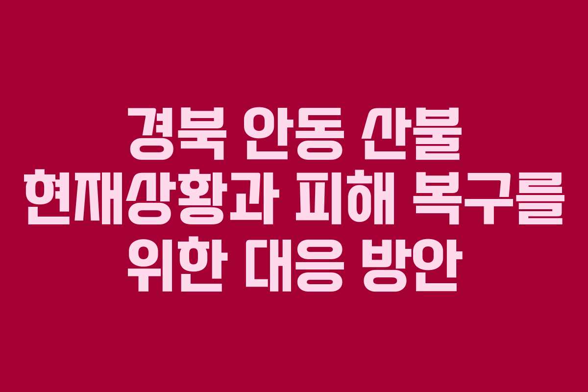 경북 안동 산불 현재상황과 피해 복구를 위한 대응 방안