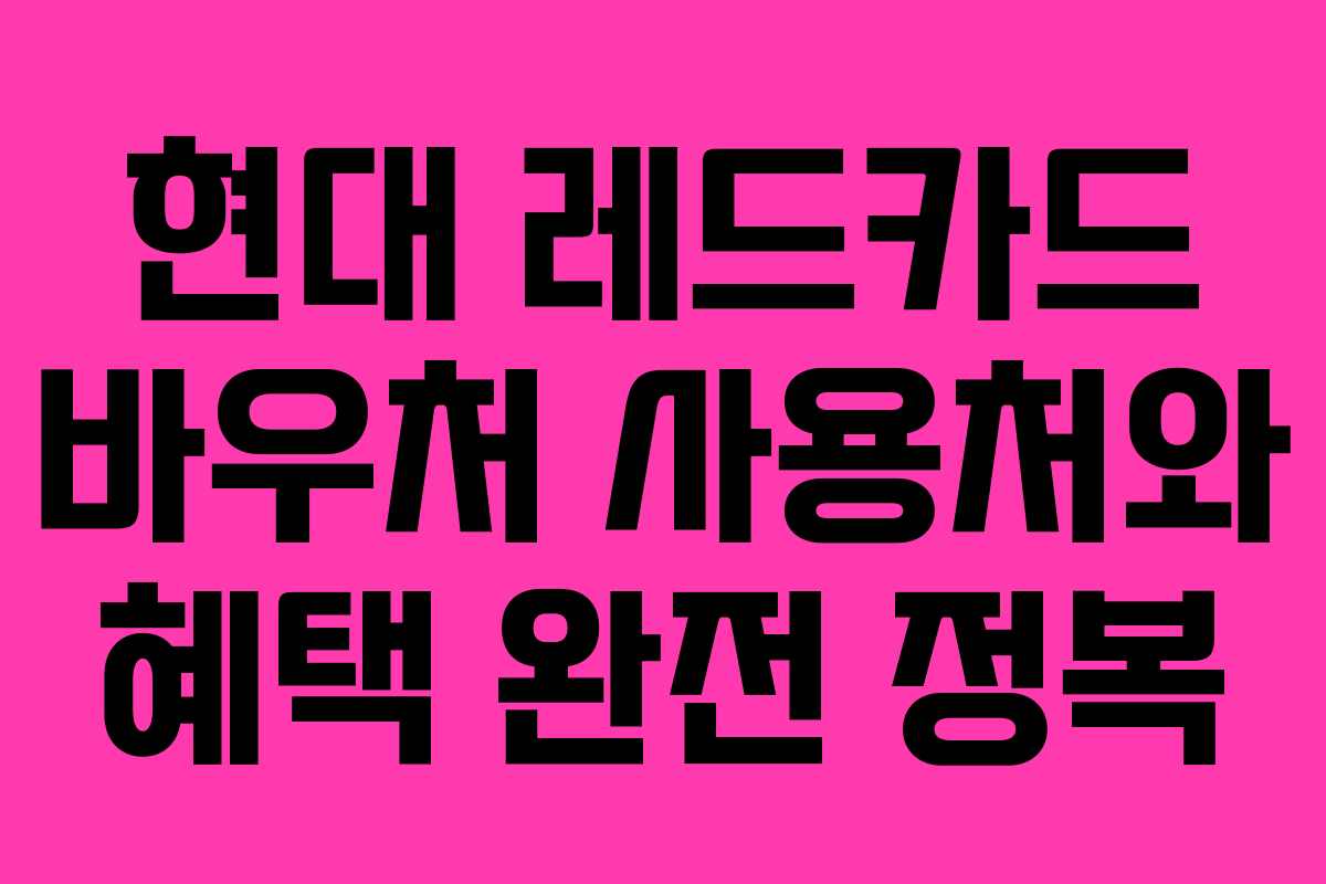 현대 레드카드 바우처 사용처와 혜택 완전 정복