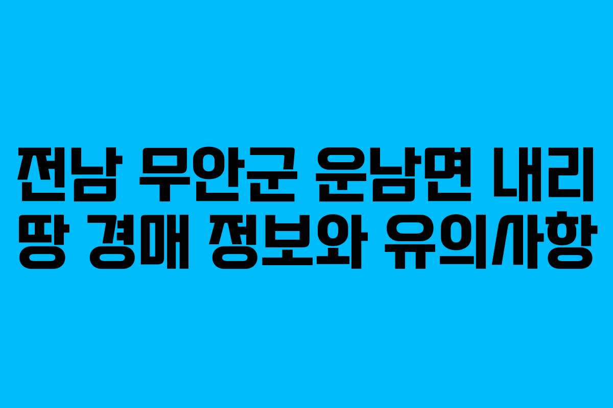 전남 무안군 운남면 내리 땅 경매 정보와 유의사항