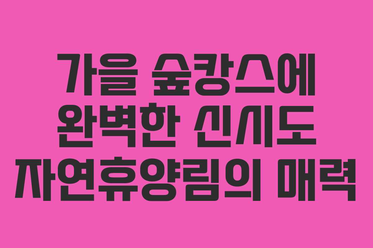 가을 숲캉스에 완벽한 신시도 자연휴양림의 매력