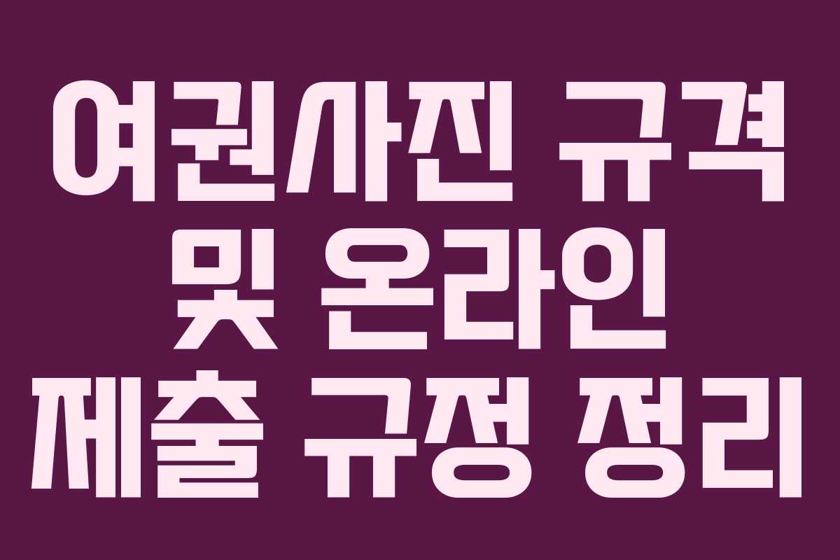 여권사진 규격 및 온라인 제출 규정 정리