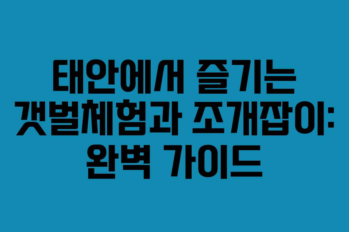 태안에서 즐기는 갯벌체험과 조개잡이: 완벽 가이드