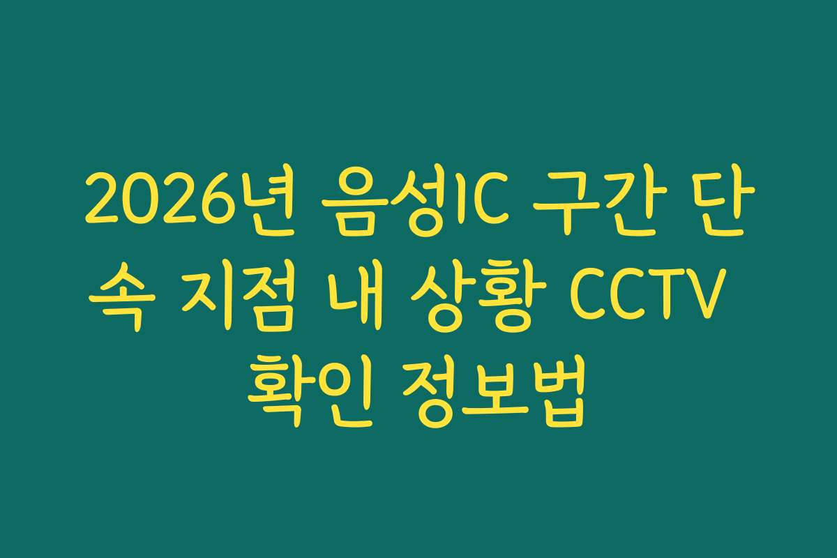2026년 음성IC 구간 단속 지점 내 상황 CCTV 확인 정보법