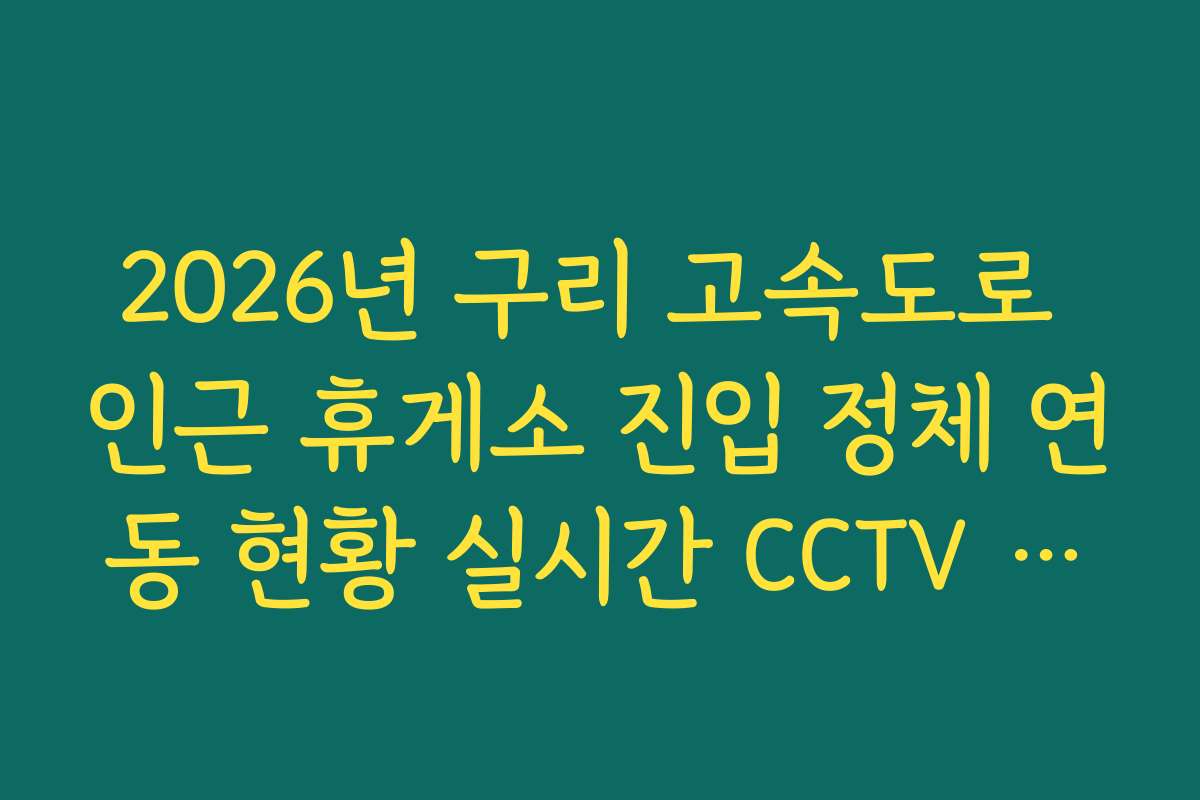 2026년 구리 고속도로 인근 휴게소 진입 정체 연동 현황 실시간 CCTV 확인