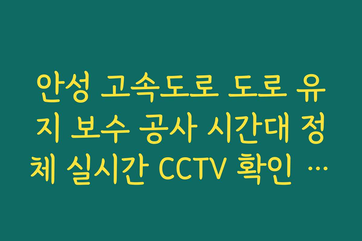 안성 고속도로 도로 유지 보수 공사 시간대 정체 실시간 CCTV 확인 정보