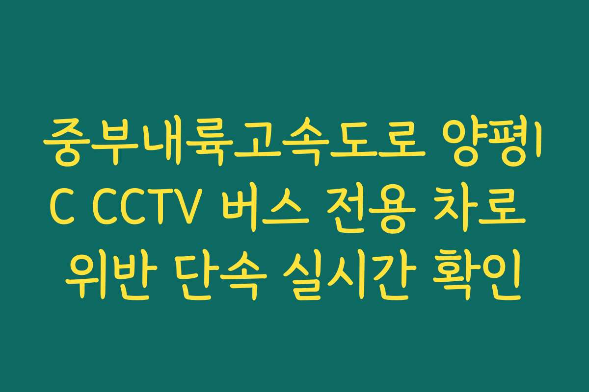 중부내륙고속도로 양평IC CCTV 버스 전용 차로 위반 단속 실시간 확인