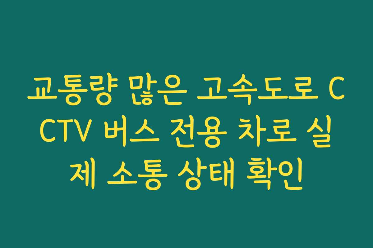 교통량 많은 고속도로 CCTV 버스 전용 차로 실제 소통 상태 확인
