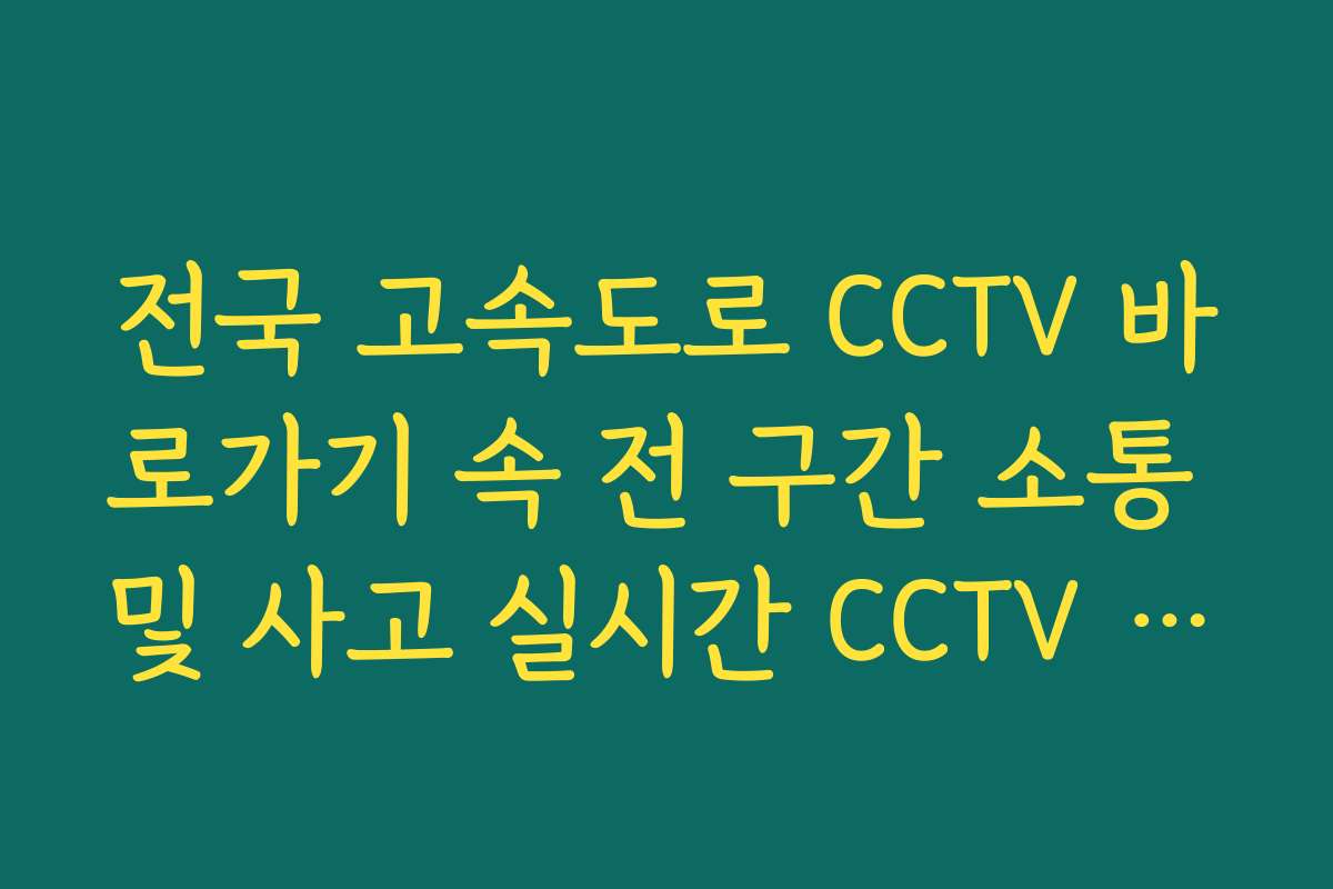 전국 고속도로 CCTV 바로가기 속 전 구간 소통 및 사고 실시간 CCTV 확인
