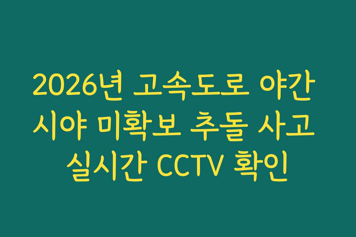 2026년 고속도로 야간 시야 미확보 추돌 사고 실시간 CCTV 확인