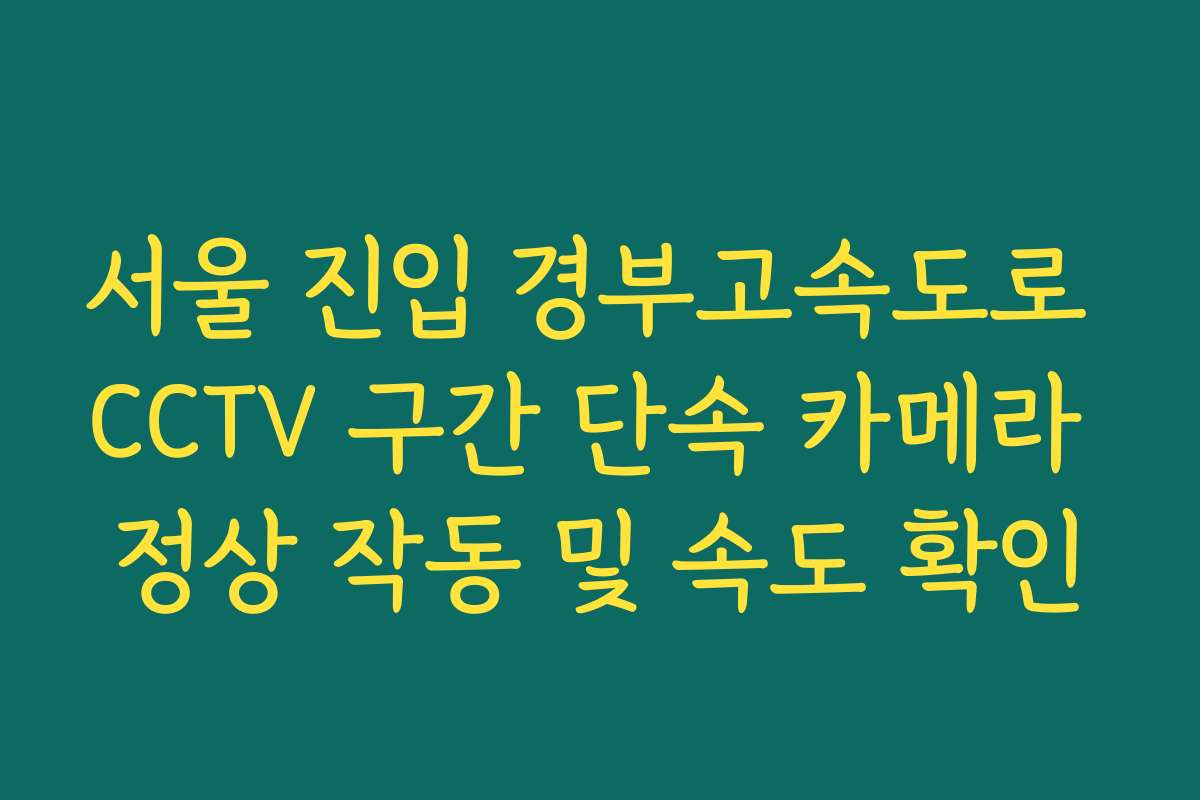 서울 진입 경부고속도로 CCTV 구간 단속 카메라 정상 작동 및 속도 확인