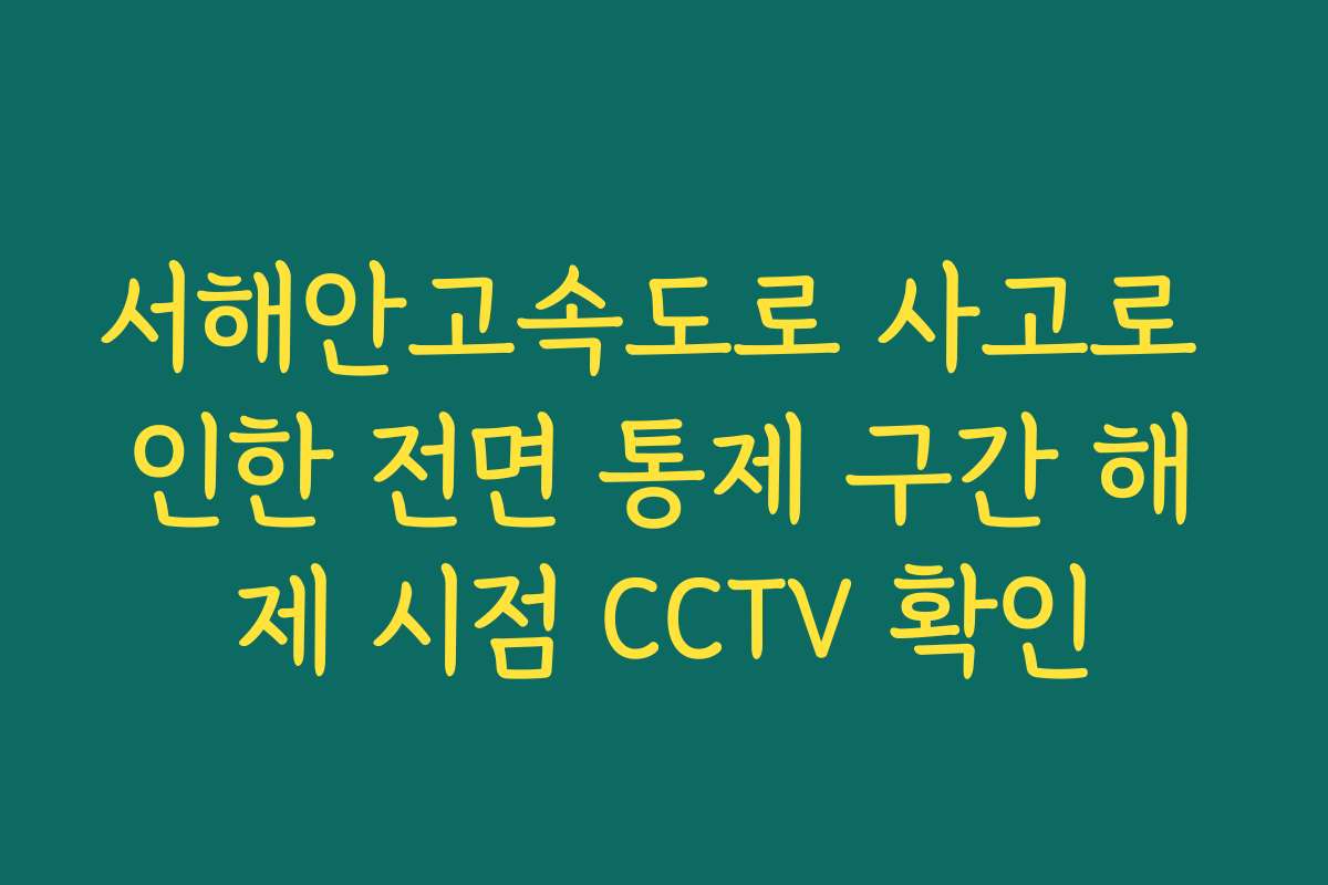 서해안고속도로 사고로 인한 전면 통제 구간 해제 시점 CCTV 확인
