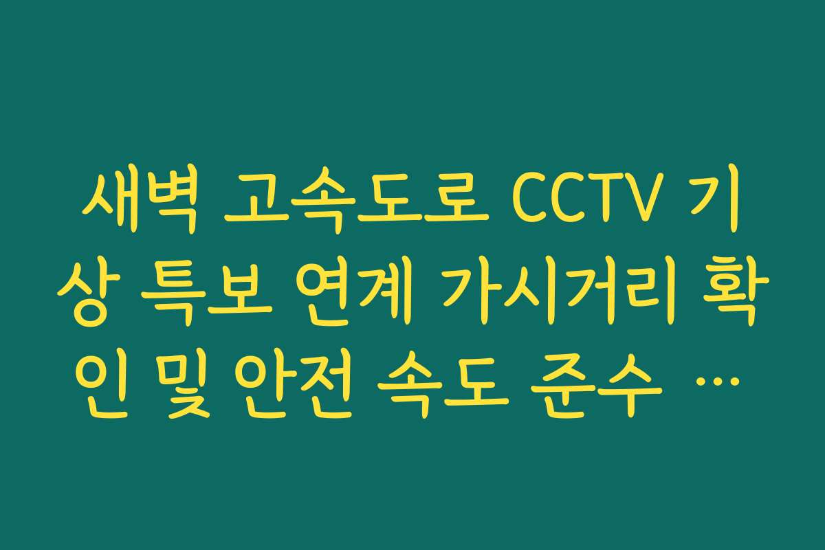 새벽 고속도로 CCTV 기상 특보 연계 가시거리 확인 및 안전 속도 준수 여부