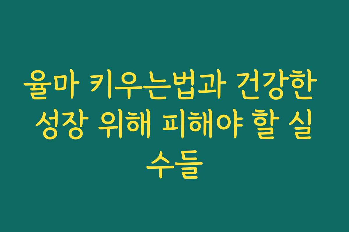 율마 키우는법과 건강한 성장 위해 피해야 할 실수들