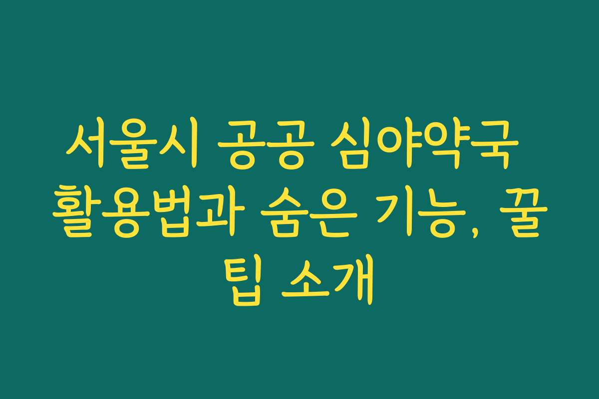서울시 공공 심야약국 활용법과 숨은 기능, 꿀팁 소개