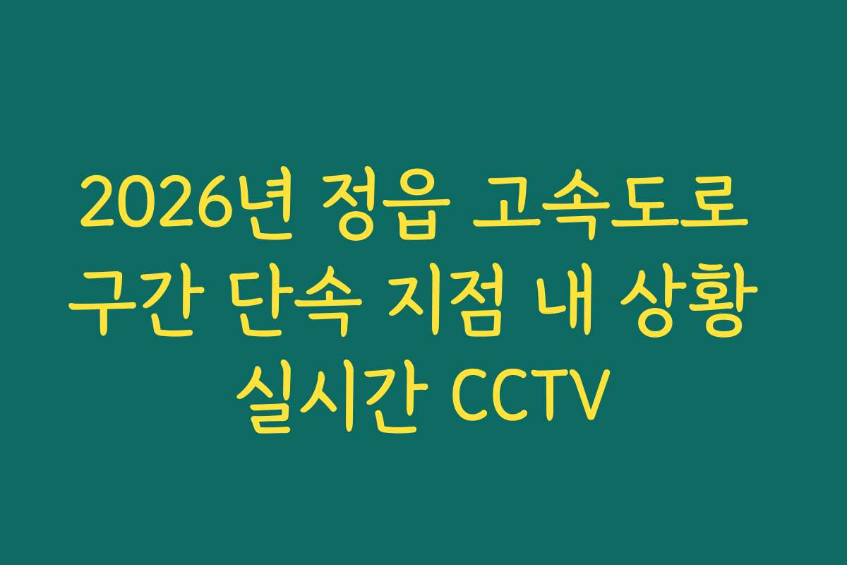 2026년 정읍 고속도로 구간 단속 지점 내 상황 실시간 CCTV