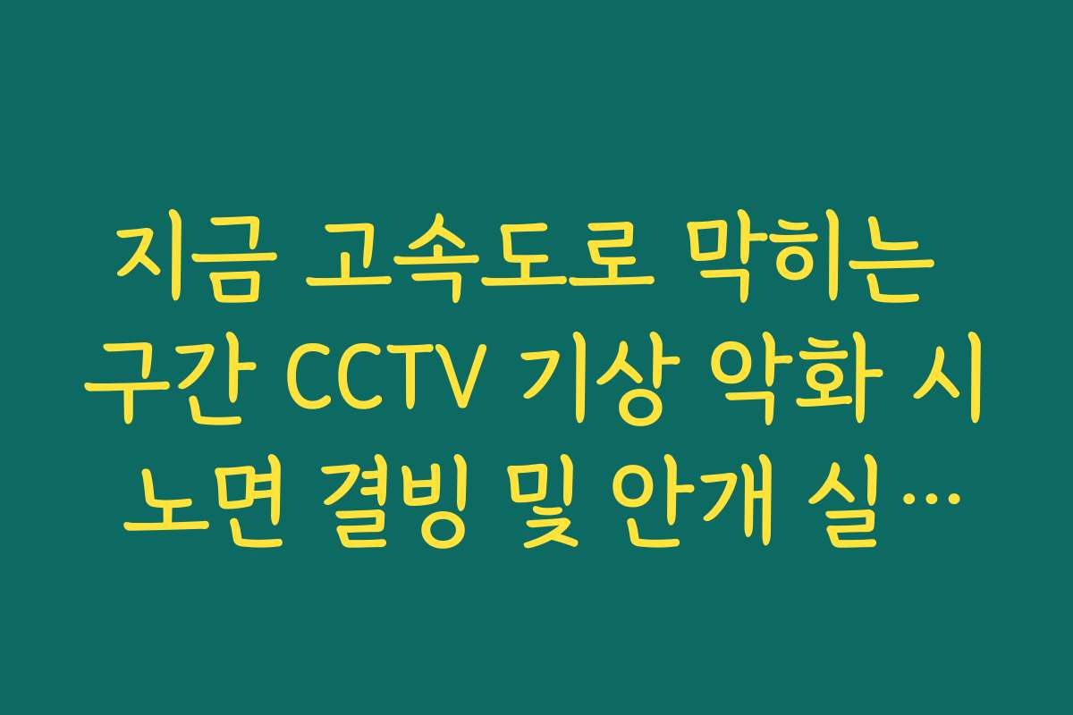 지금 고속도로 막히는 구간 CCTV 기상 악화 시 노면 결빙 및 안개 실시간 체크