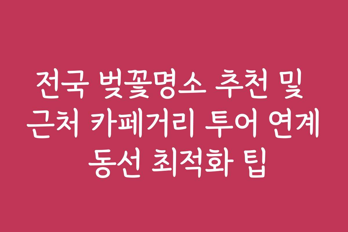 전국 벚꽃명소 추천 및 근처 카페거리 투어 연계 동선 최적화 팁