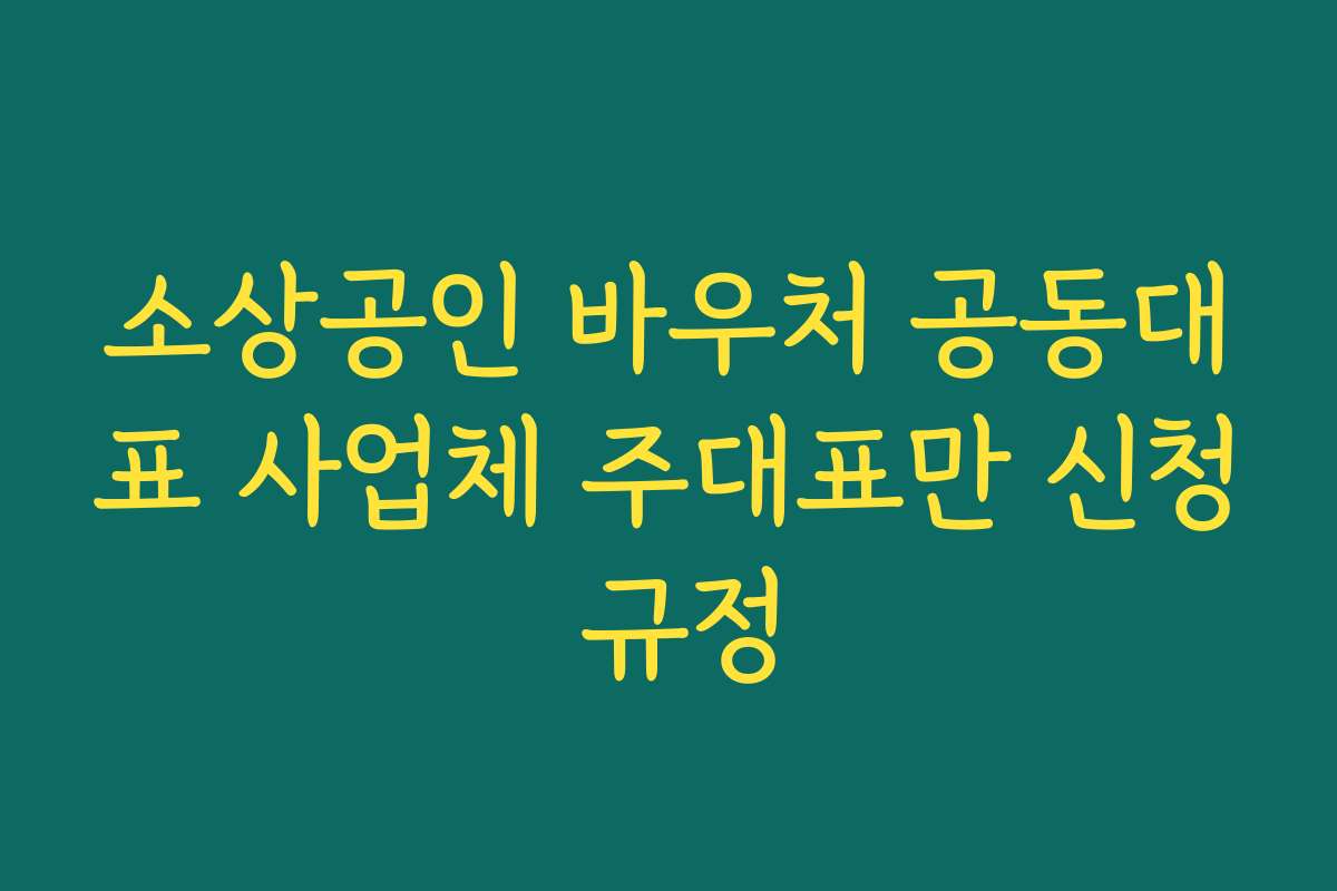 소상공인 바우처 공동대표 사업체 주대표만 신청 규정