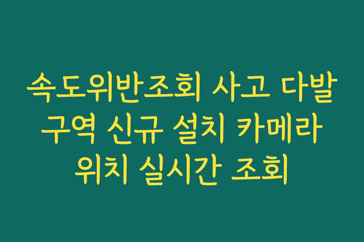 속도위반조회 사고 다발 구역 신규 설치 카메라 위치 실시간 조회
