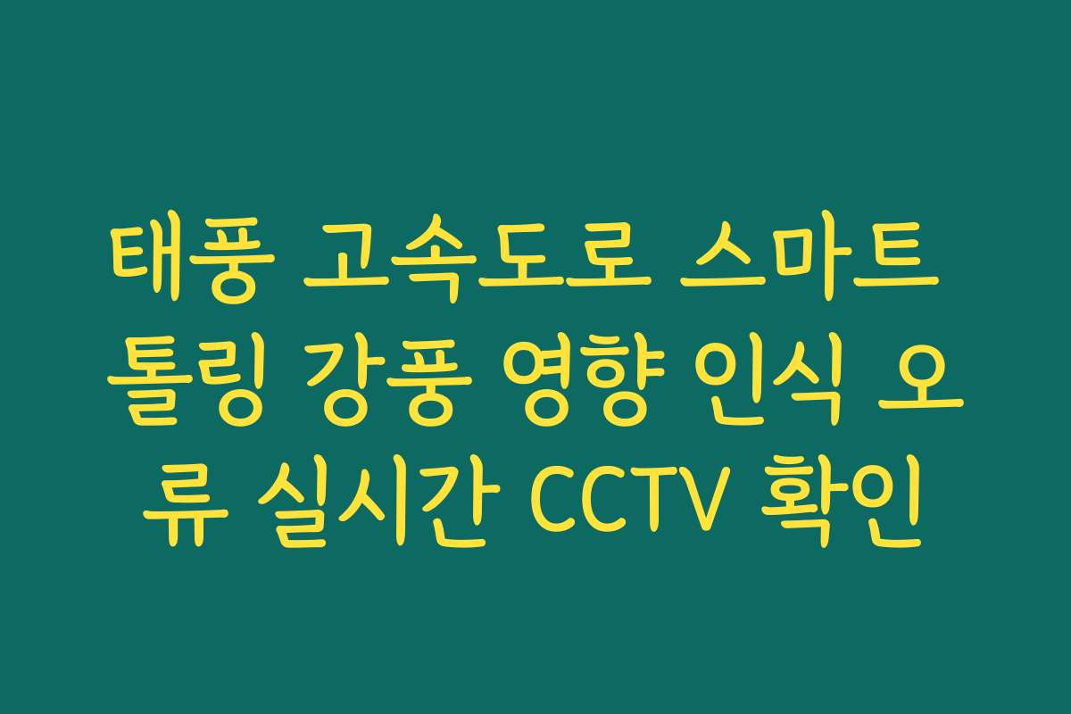 태풍 고속도로 스마트 톨링 강풍 영향 인식 오류 실시간 CCTV 확인