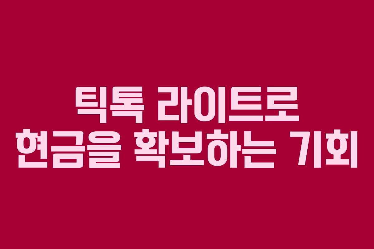 틱톡 라이트로 현금을 확보하는 기회