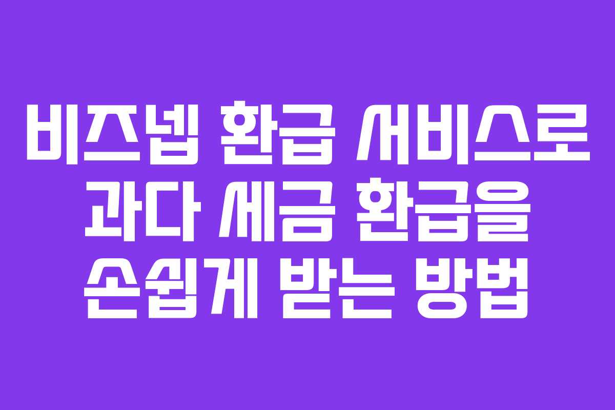 비즈넵 환급 서비스로 과다 세금 환급을 손쉽게 받는 방법