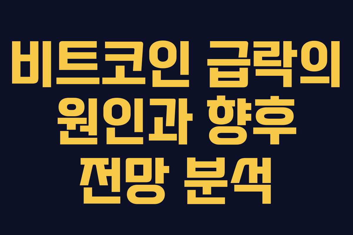 비트코인 급락의 원인과 향후 전망 분석