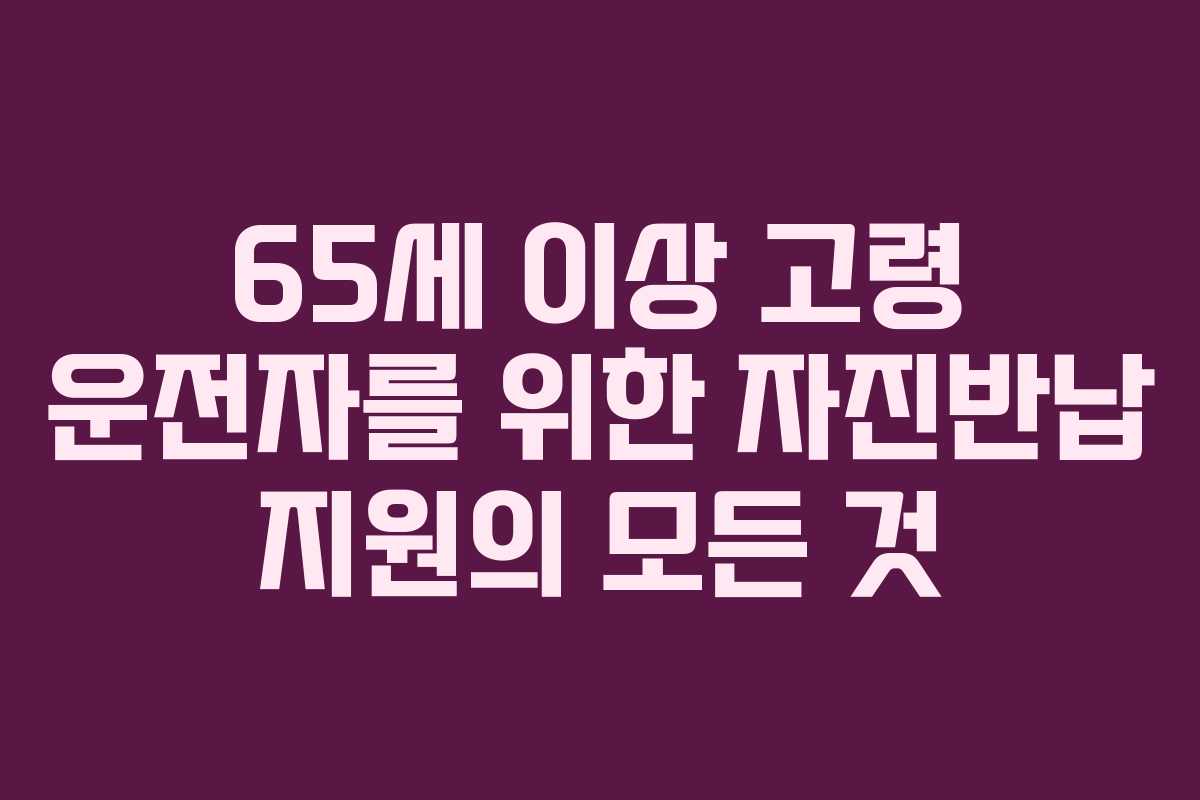 65세 이상 고령 운전자를 위한 자진반납 지원의 모든 것