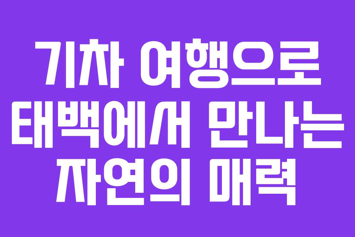 기차 여행으로 태백에서 만나는 자연의 매력