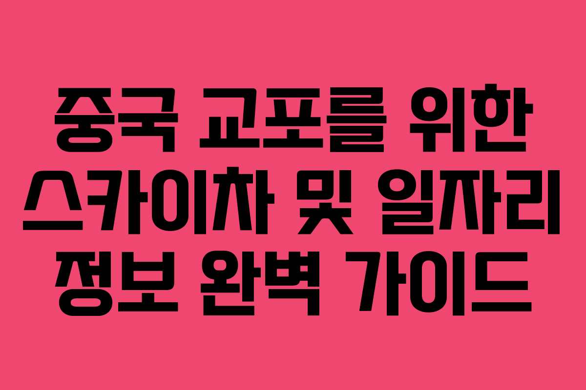 중국 교포를 위한 스카이차 및 일자리 정보 완벽 가이드
