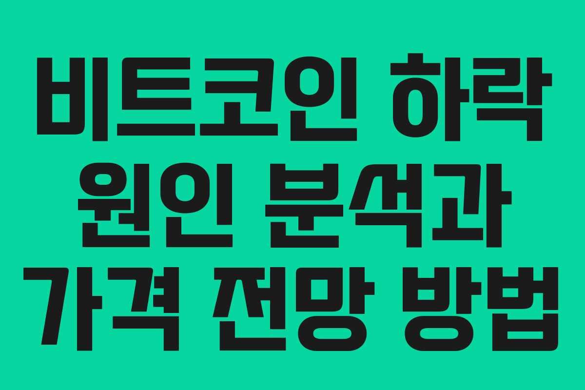 비트코인 하락 원인 분석과 가격 전망 방법