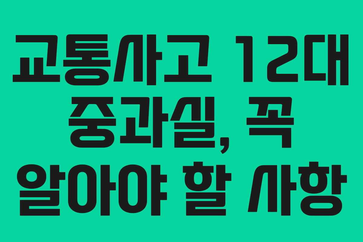 교통사고 12대 중과실, 꼭 알아야 할 사항