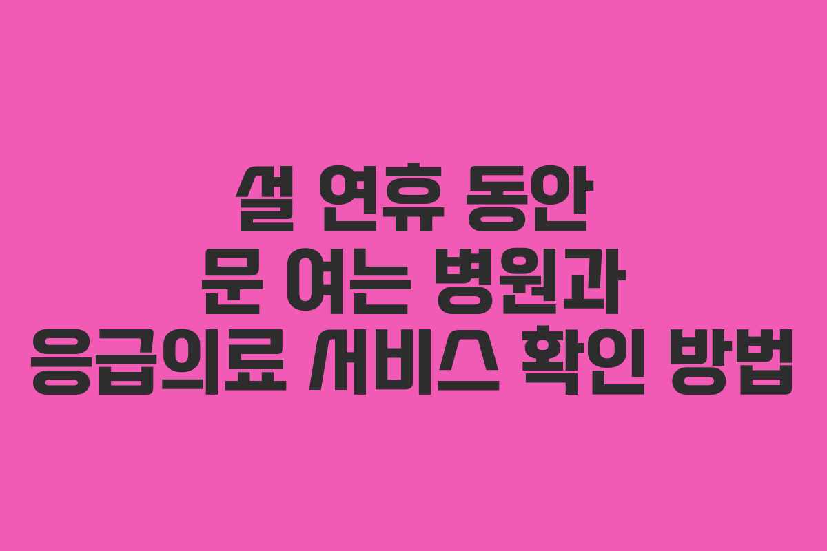 설 연휴 동안 문 여는 병원과 응급의료 서비스 확인 방법