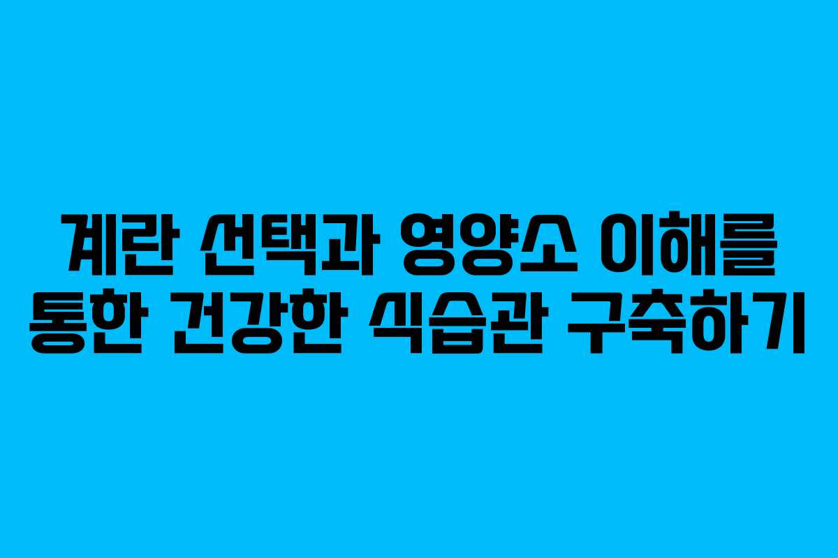 계란 선택과 영양소 이해를 통한 건강한 식습관 구축하기