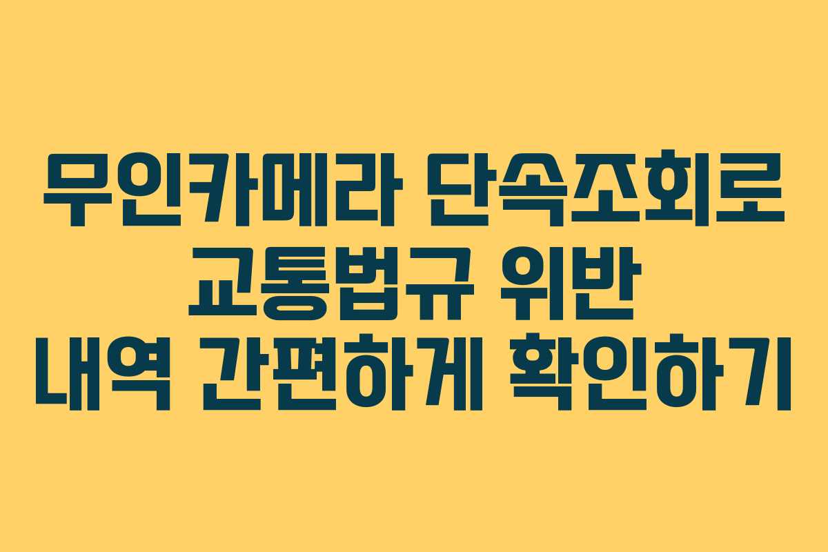 무인카메라 단속조회로 교통법규 위반 내역 간편하게 확인하기